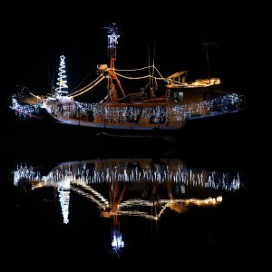 Christmas lights Drakes Pool