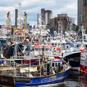 Fishing Trawler Protest, Port of Cork